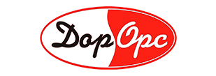 логотип - Дорорс