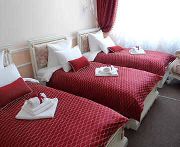 Семейный (многоместный) номер Deluxe