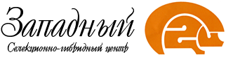 Селекционно-гибридный центр «Западный»
