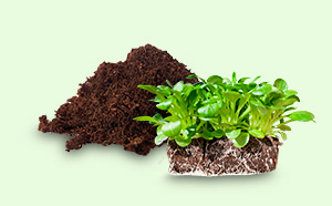 Peat for composting STB 832-2001