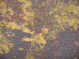Плитка ColorMix