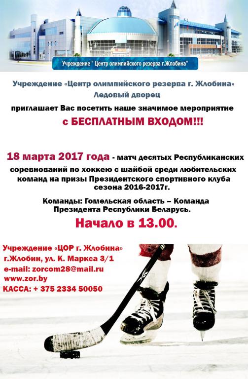 Матч десятых Республиканских соревнований по хоккею с шайбой