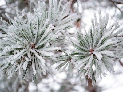 Санаторий «Нарочь