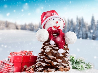 гостиница «Аэлита» 