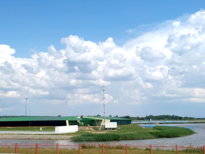 Виолпроект