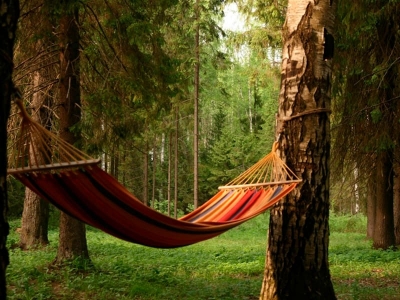 База отдыха в д. Коровчино