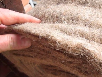 Витебскобллен