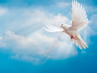 Вечная память в граните