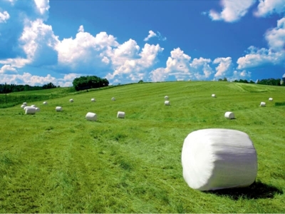 Пленка сельскохозяйственная