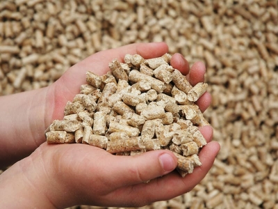 Пуховичский КХП