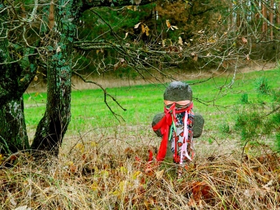 Окунитесь в Тайны Убортского Полесья