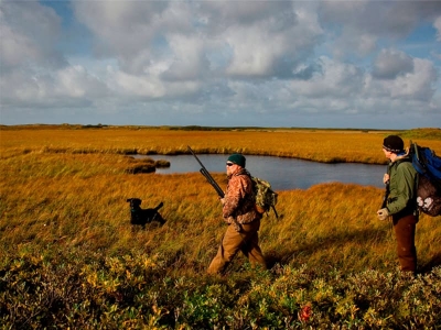 ПУХОВИЧСКИЙ ЛЕСХОЗ