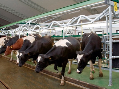 Мы ценим ваше время