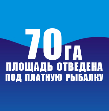 17 лет на рынке!