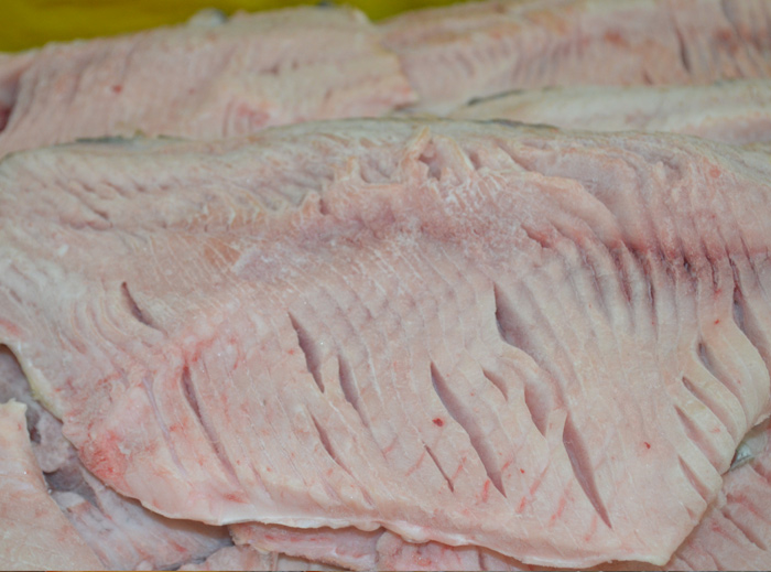 Филе карпа отборного мороженое