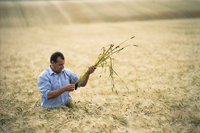 Представительство АО «Syngenta Agro Services AG (Швейцарская Конфедерация) в Республике Беларусь