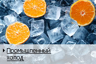 Балтик Мастер