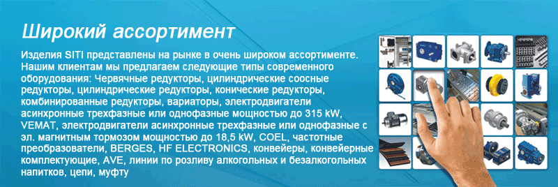 ООО Сити-Бел