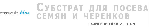 Флоринтерра