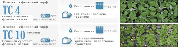 Флоринтерра