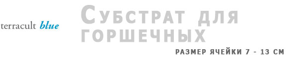 Флоринтерра