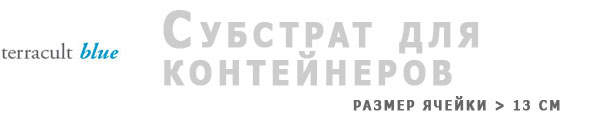 Флоринтерра