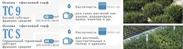 Флоринтерра