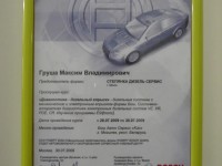 СТО "ДизельСервис"