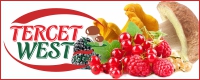 Переработка и экспорт дикорастущей и плодоовощной продукции
