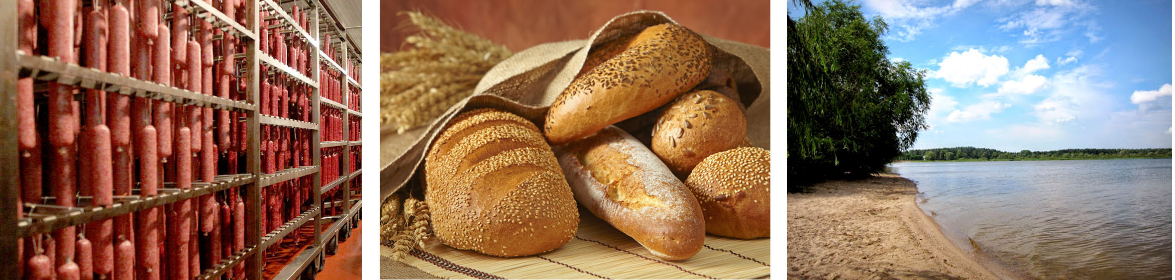 Березовский мясоконсервный комбинат ОАО - Каталог компаний Беларуси