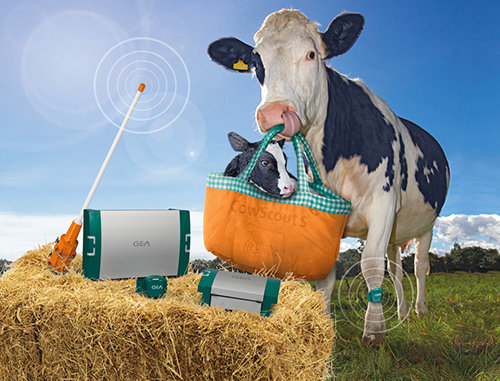 CowScout Titel 009 373992