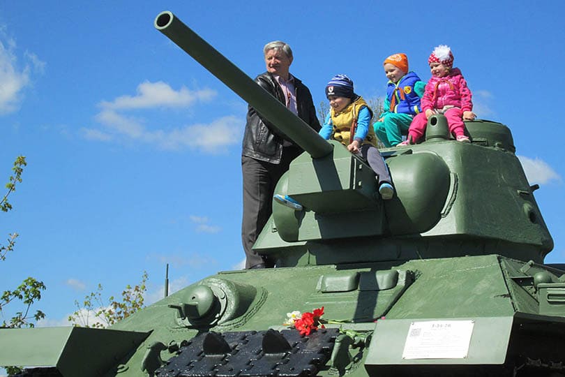 Линия Сталия
